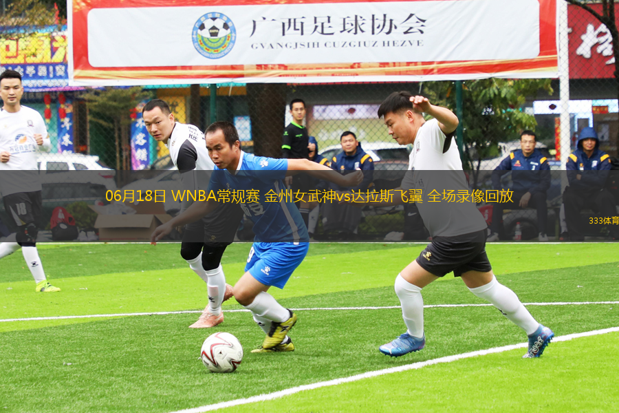 06月18日 WNBA常規(guī)賽 金州女武神vs達(dá)拉斯飛翼 全場(chǎng)錄像回放
