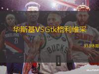 華斯基VSGtk格利維采