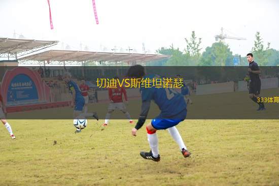 切迪VS斯維坦諾瑟