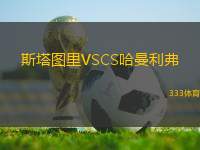斯塔圖里VSCS哈曼利弗