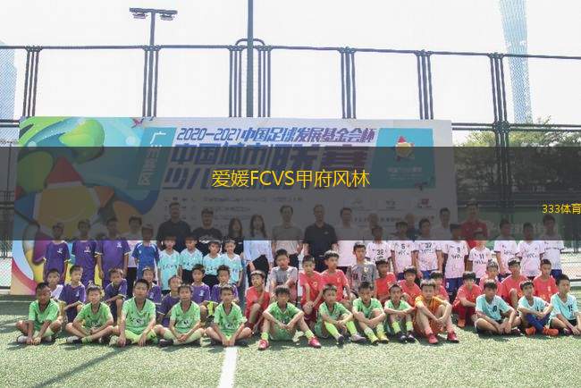 愛媛FCVS甲府風林