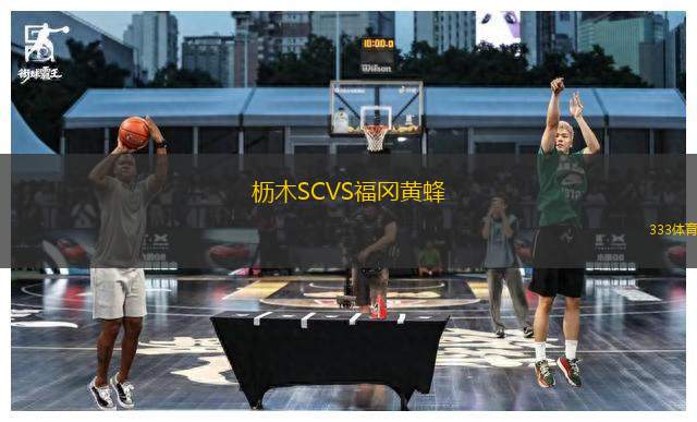 櫪木SCVS福岡黃蜂