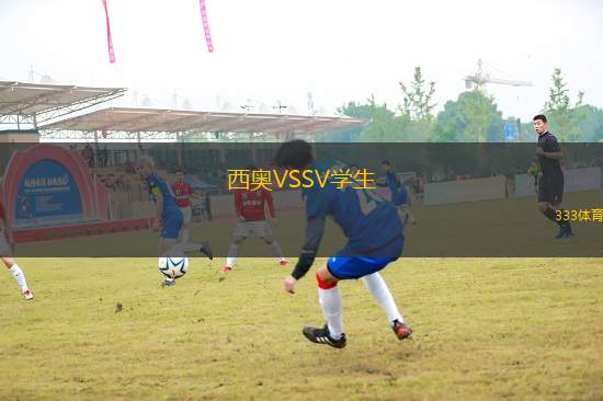 西奧VSSV學生