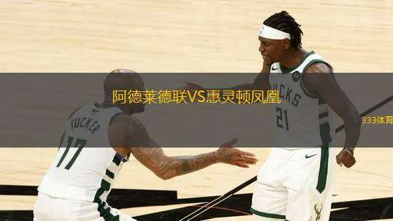 阿德萊德聯(lián)VS惠靈頓鳳凰