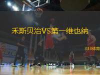 禾斯貝治VS第一維也納