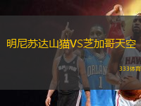 明尼蘇達(dá)山貓VS芝加哥天空