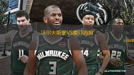 沃爾夫斯堡VS霍芬海姆