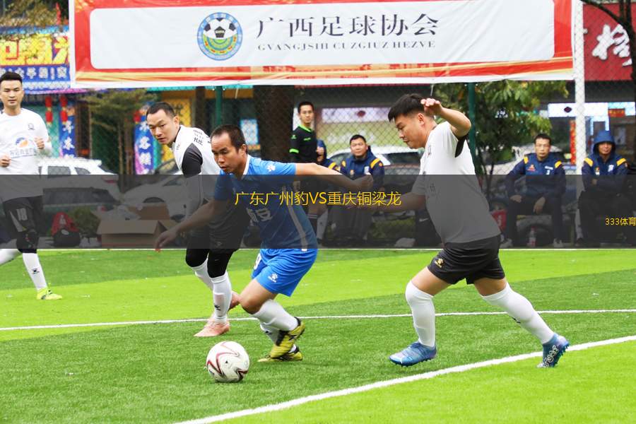 廣東廣州豹VS重慶銅梁龍