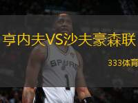 亨內(nèi)夫VS沙夫豪森聯(lián)