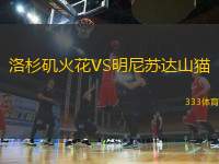 洛杉磯火花VS明尼蘇達山貓