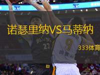 諾瑟里納VS馬蒂納