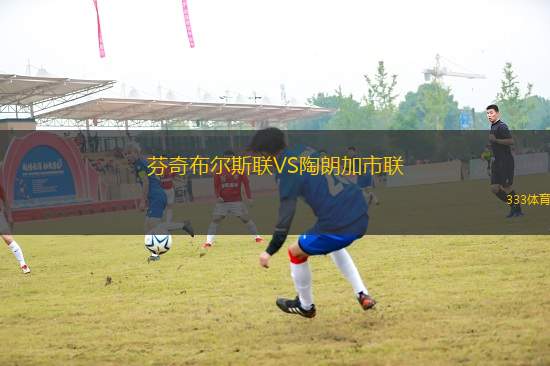 芬奇布爾斯聯(lián)VS陶朗加市聯(lián)