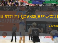 明尼蘇達(dá)山貓VS康涅狄克太陽