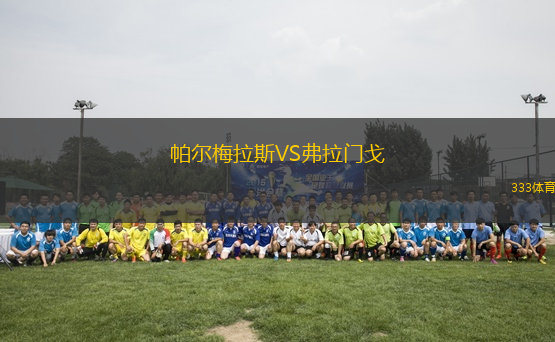 帕爾梅拉斯VS弗拉門戈