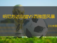 明尼蘇達(dá)山貓VS西雅圖風(fēng)暴