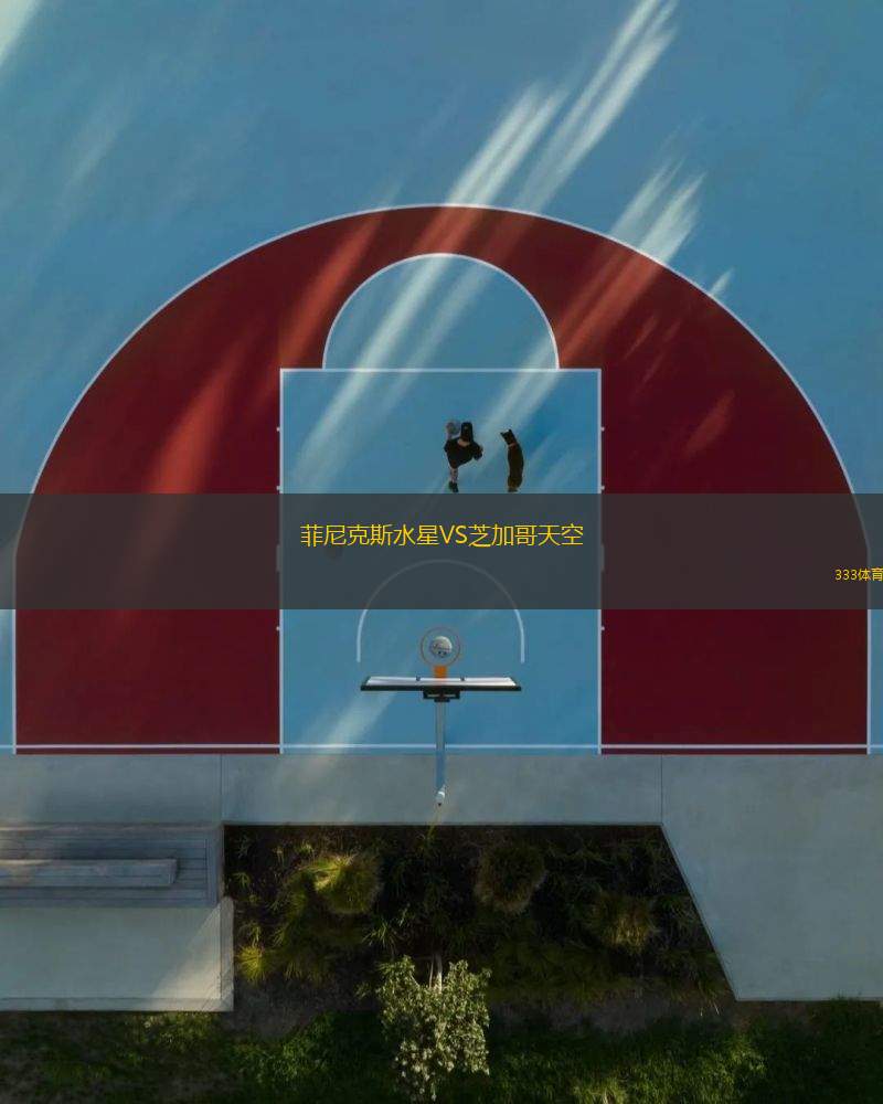 菲尼克斯水星VS芝加哥天空