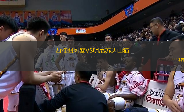 西雅圖風(fēng)暴VS明尼蘇達(dá)山貓