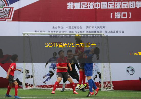 SC相模原VS高知聯(lián)合