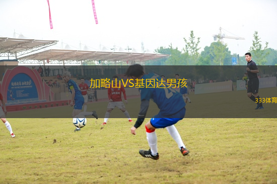 加略山VS基因達(dá)男孩