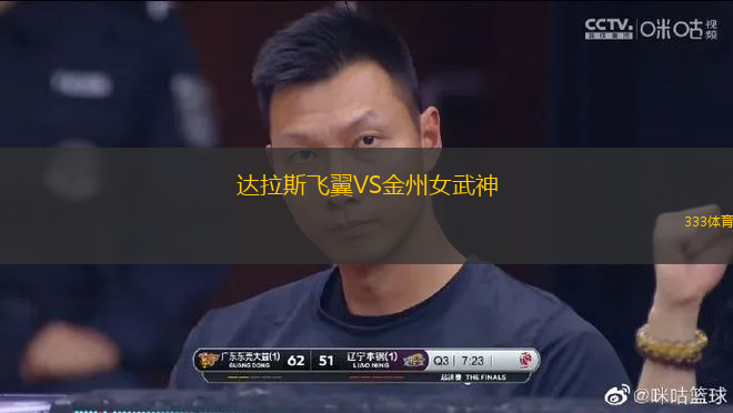 達(dá)拉斯飛翼VS金州女武神