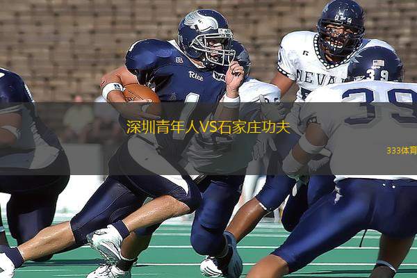 深圳青年人VS石家莊功夫