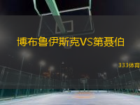 博布魯伊斯克VS第聶伯