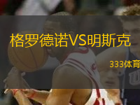 格羅德諾VS明斯克