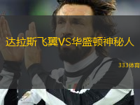 達(dá)拉斯飛翼VS華盛頓神秘人