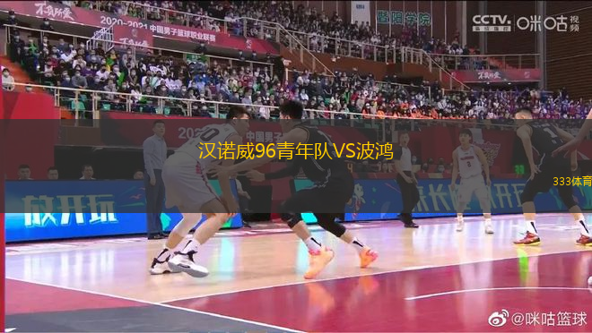 漢諾威96青年隊(duì)VS波鴻